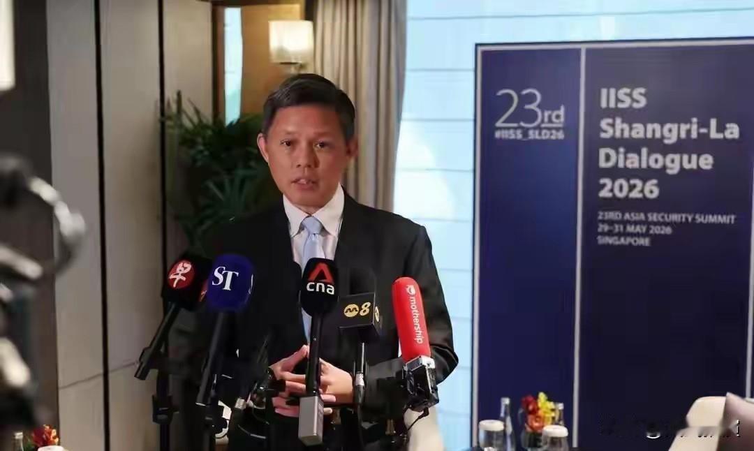 5月31日，新加坡防长陈振声在接受采访时明确指出:以后不要再使用“低级别中国代表