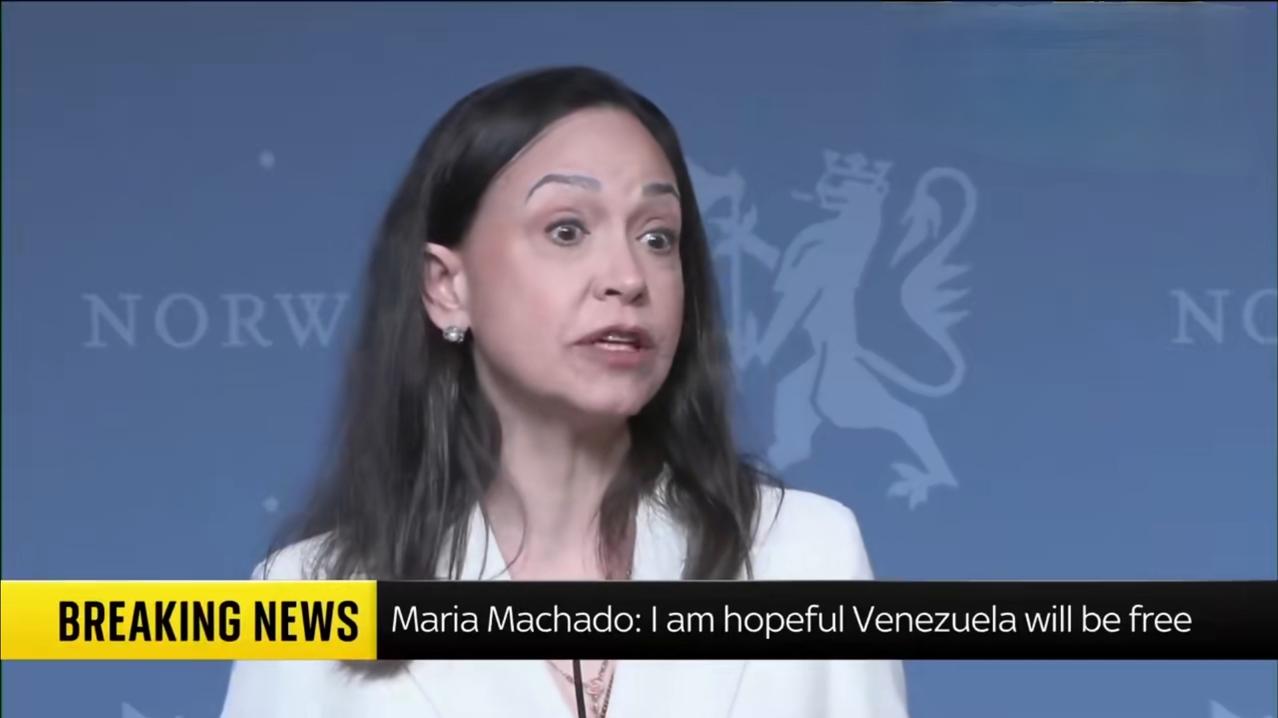 按照马查多的说法，委内瑞拉已经被一个地痞流氓黑社会犯罪团伙所控制。马杜罗则是黑帮