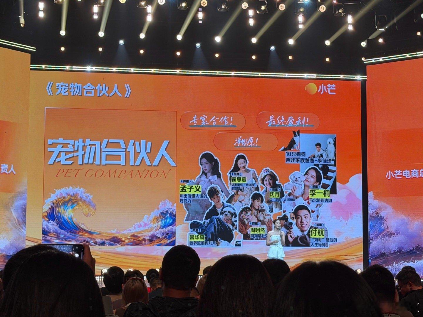 宠物合伙人何炅芒果招商会发言啊​​​