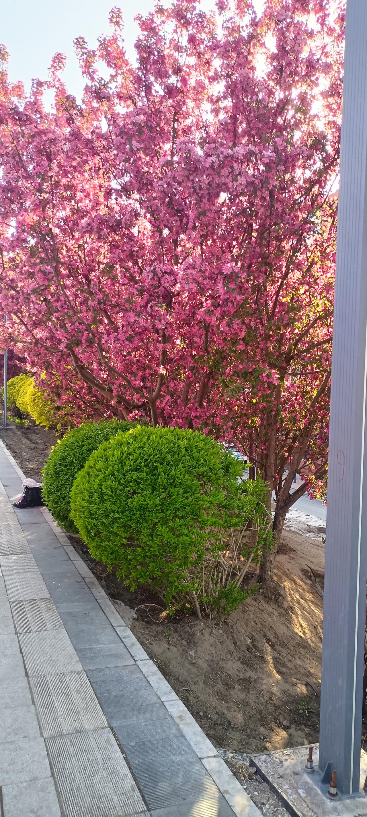 我约了新妯娌，吃完饭一起去遛弯。今天我比较闲，没去带孩子，中午去给我妈送饭，然