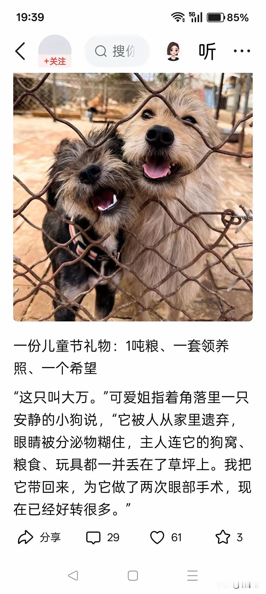 北青网翻车记：一篇“给狗过六一”的报道，到底惹了谁？六一儿童节，北青网发了一