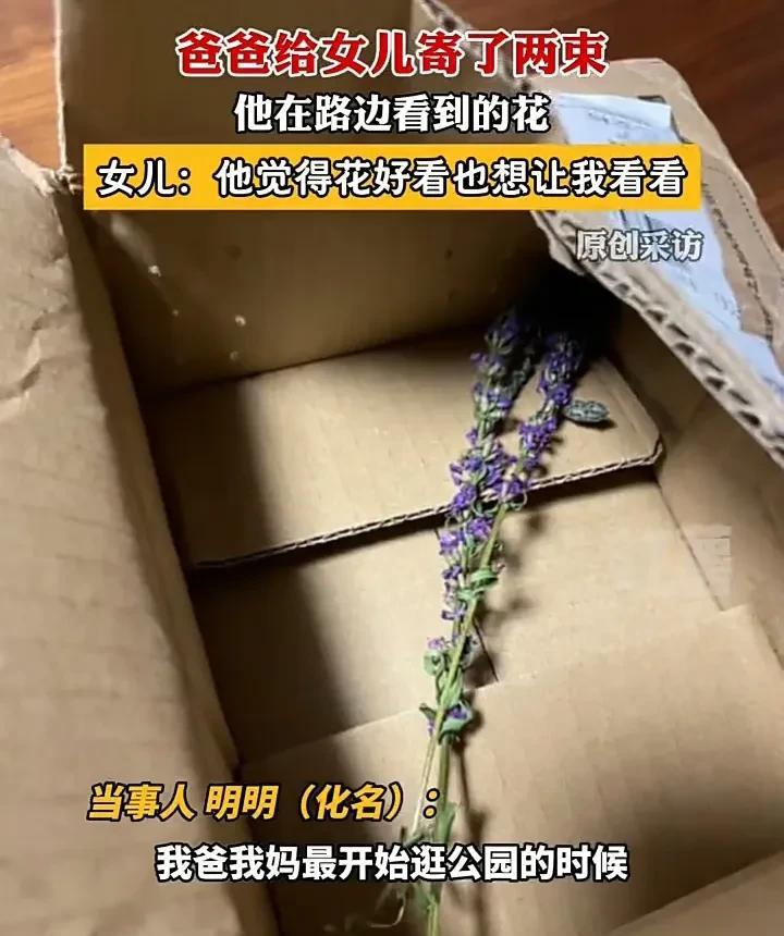 隔着屏幕都能感受到这名女子父母对她的爱有多深！8月3日，北京一名女子突然收到一个