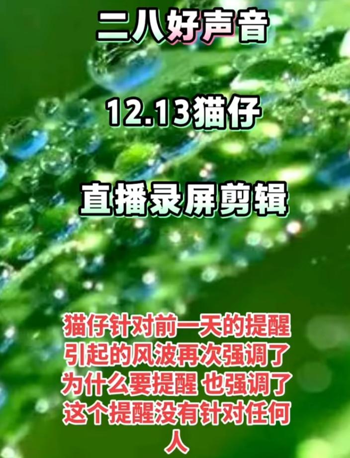 猫仔被骂了女一号横眉怒目，一口一个“小仔子”，说是广西的，说自以为