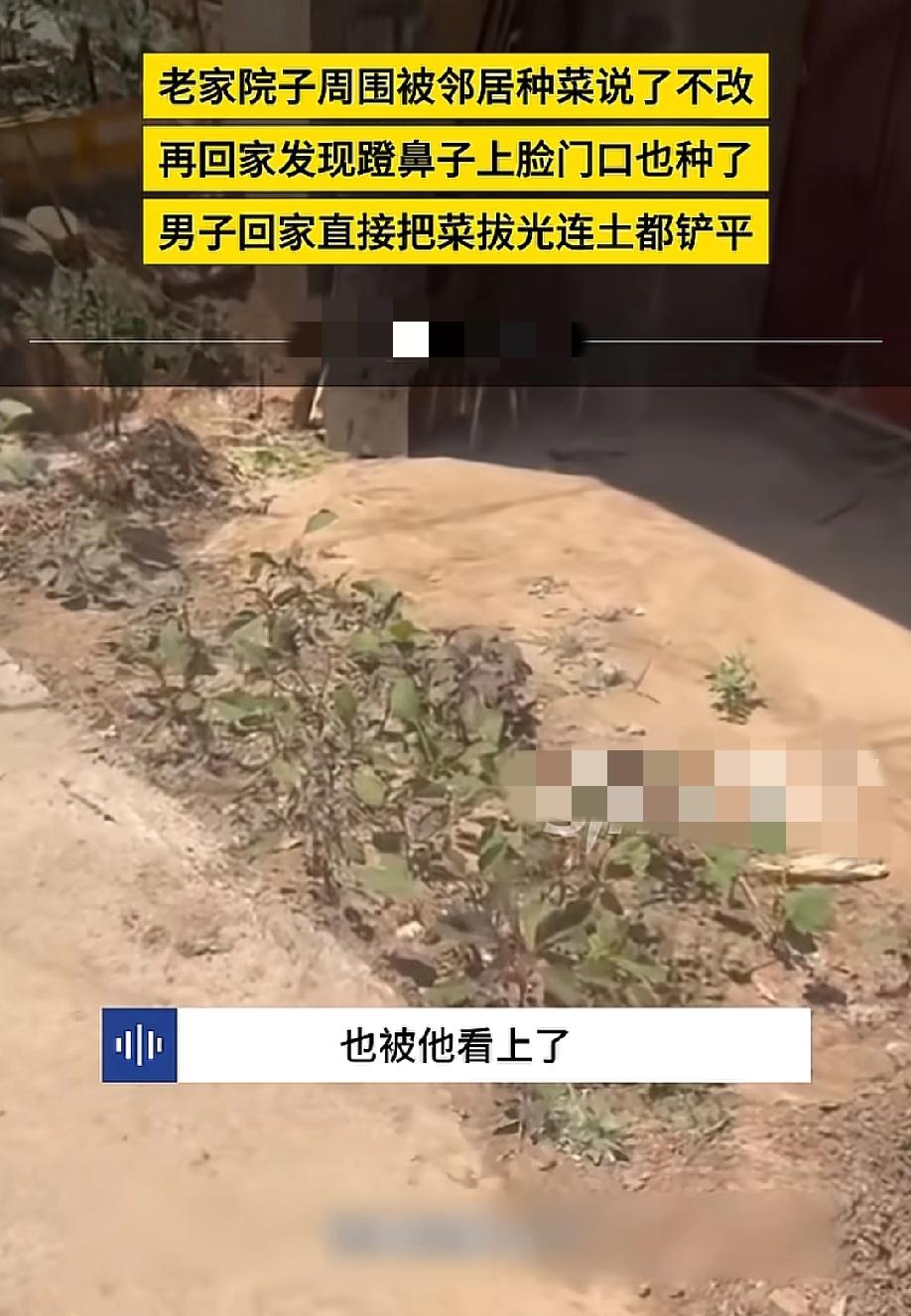 "太过分了！"5月16日新浪新闻报道，一男子回老家，发现自家院子周围被邻居悄悄种