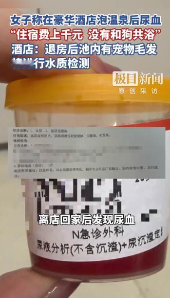 “严查到底！”近日，四川成都，一女子花费千元，带着狗住进一家豪华酒店，可女子在泡
