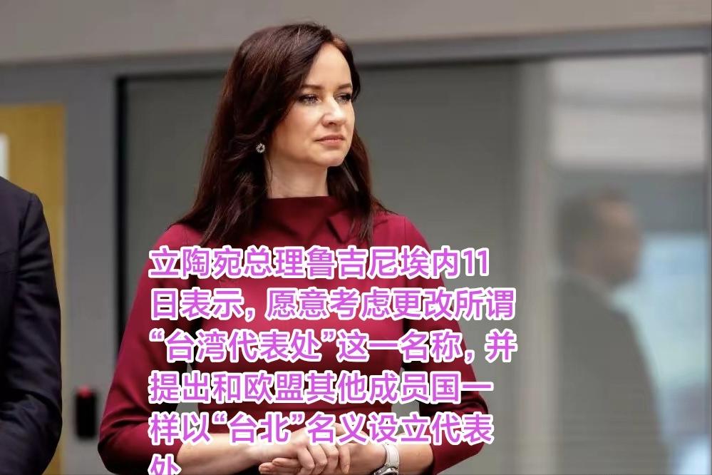 立陶宛“撕破脸了”要求台湾兑现承诺对立陶宛更多的投资！否则：如果不增加更多的投资