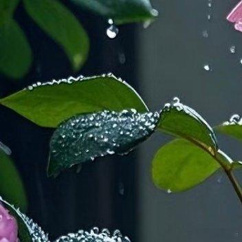 每日一善我对自己的要求很低：我活在世上，无非想要明白些道理，遇见些有趣的事。倘