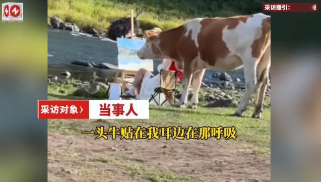 这下后悔了吧！10月11日，吉林，一女子在野外写生画画时，偶然间遇到了一头牛，她