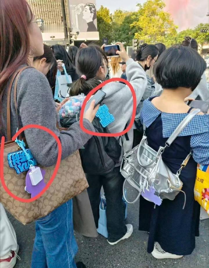 音乐节艺人梓渝粉丝在公共区域公然聚众闹事，不以为耻，反以为荣，造成了恶劣的社会影