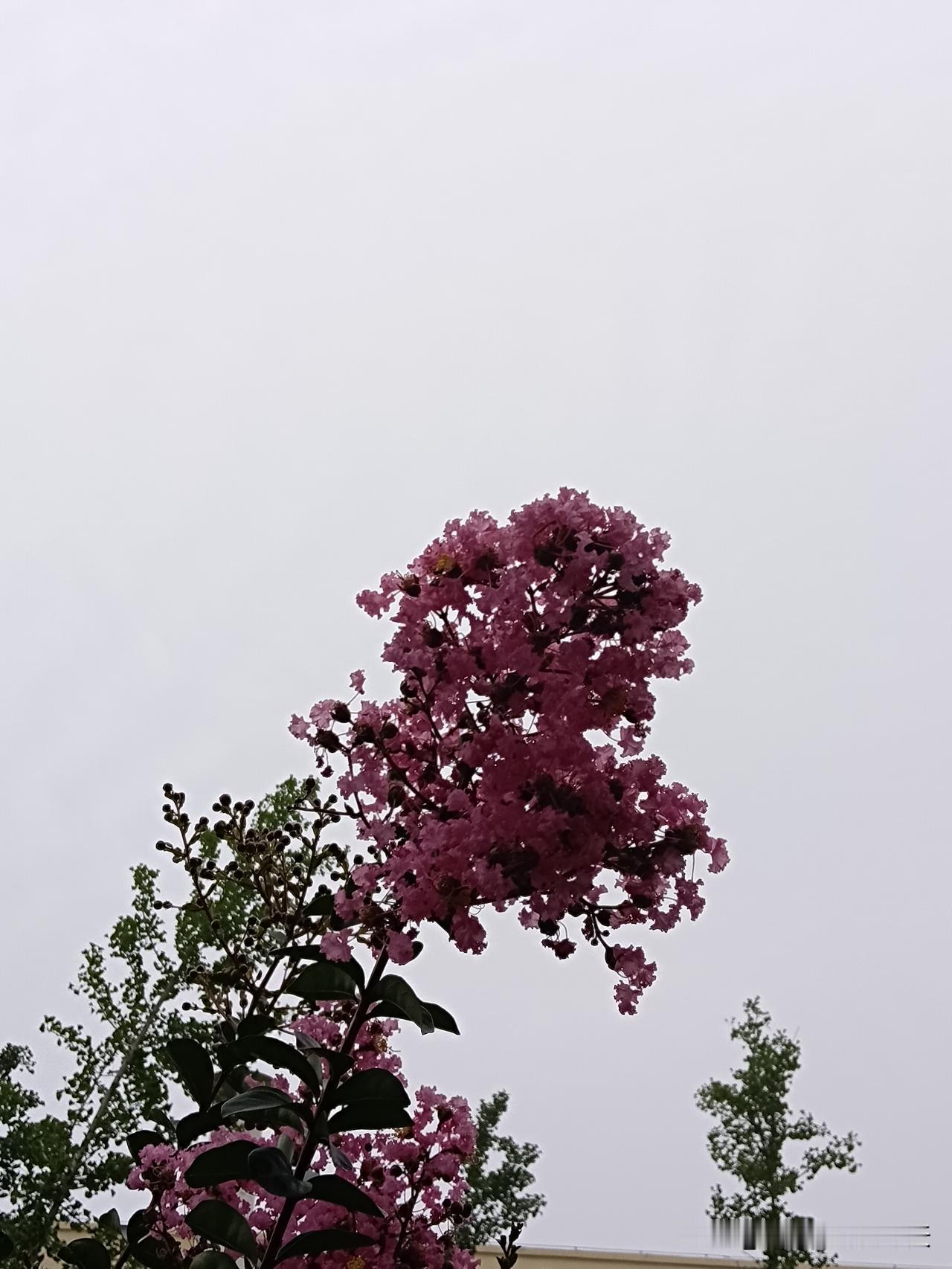 人这辈子栽跟头的十大根源：1．贪吃最终有病2．贪权很难善终3．贪财最终短