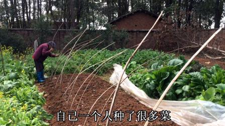 你身边的长寿老人,有哪些秘诀?95岁老奶奶被问长寿秘诀，她说生活少烦恼。