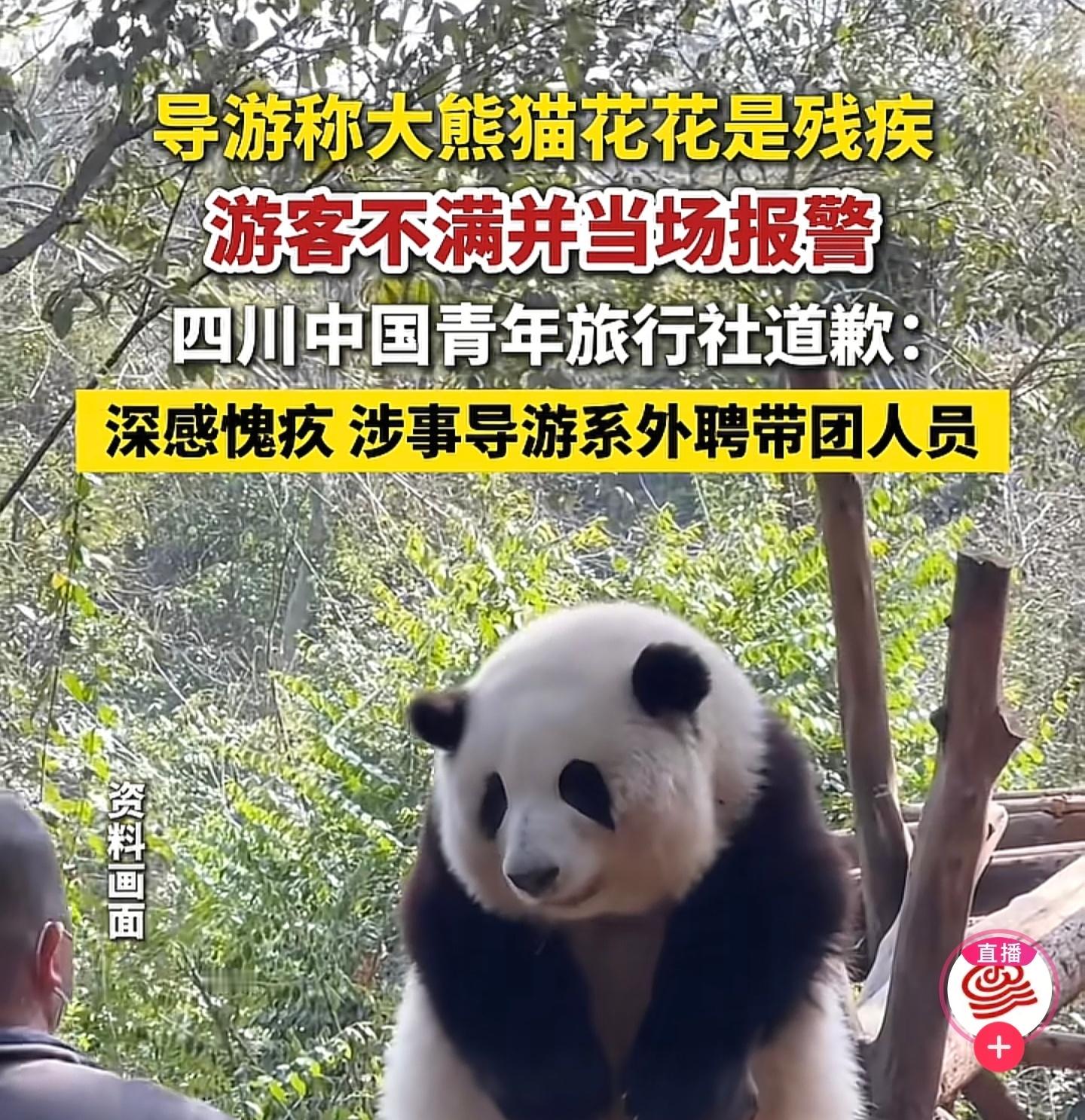 刷到这个新闻我是很震惊的，这有必要报警吗？