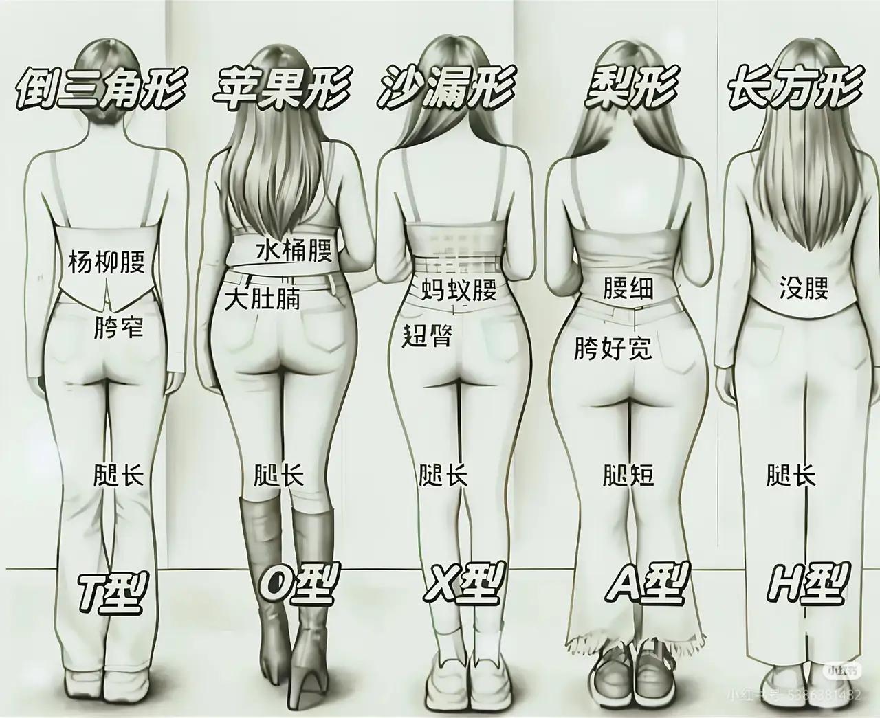 老一辈喜欢A型，年轻人喜欢T型身材[捂脸哭]
