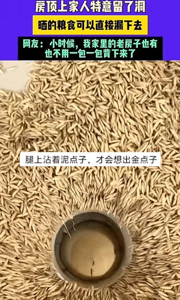 这是有智慧的人！湖南，男子帮家人回家收稻谷，收完稻谷要一袋一袋的扛到房顶上晾晒。