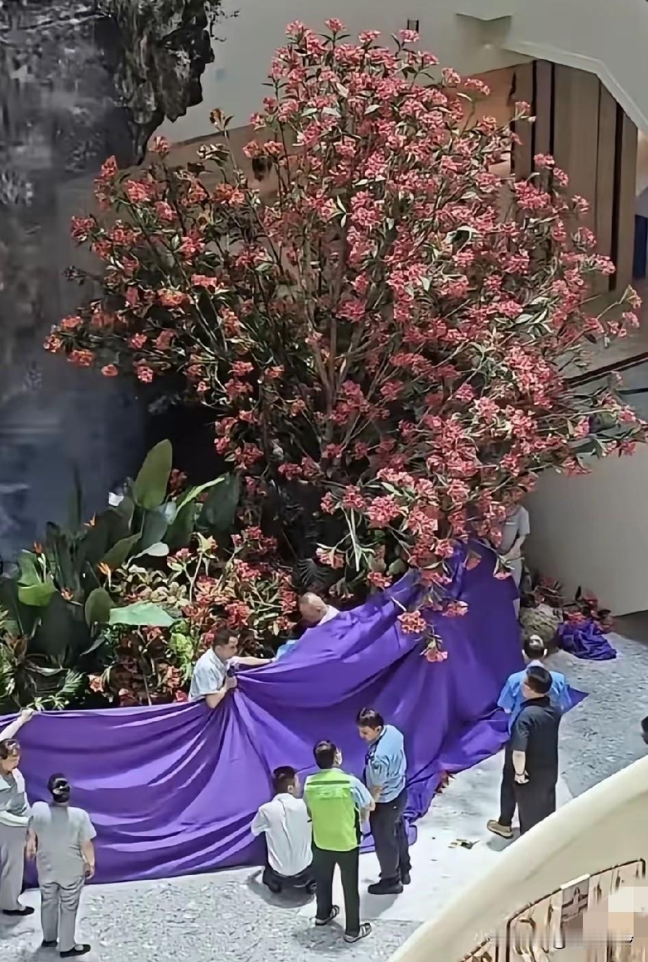 身后有几千名员工和他爱的亲人，多么好的一位老板，要有多绝望才会纵身一跃，吃人的赛