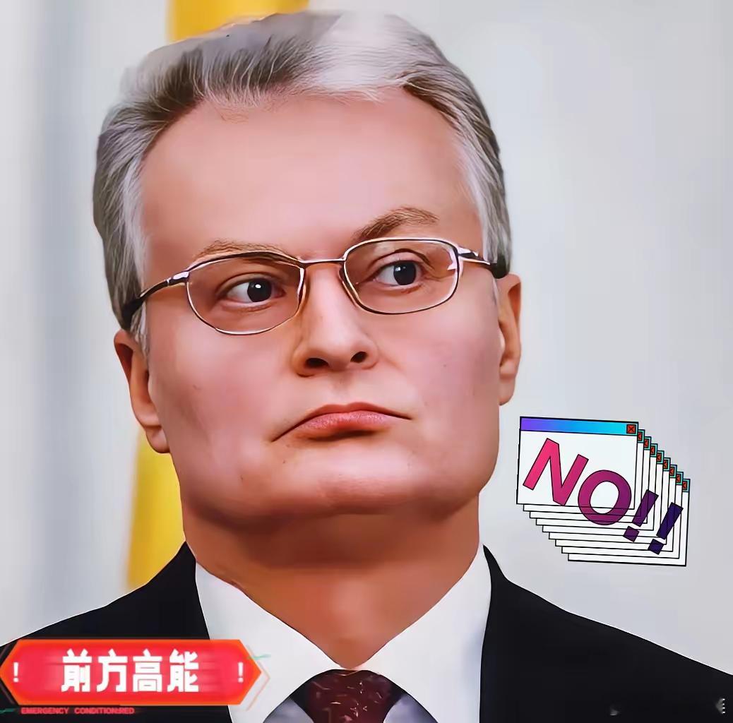就在刚刚立陶宛突然宣布！​2025年10月，立陶宛能源部长瓦伊丘纳斯在接受当地广