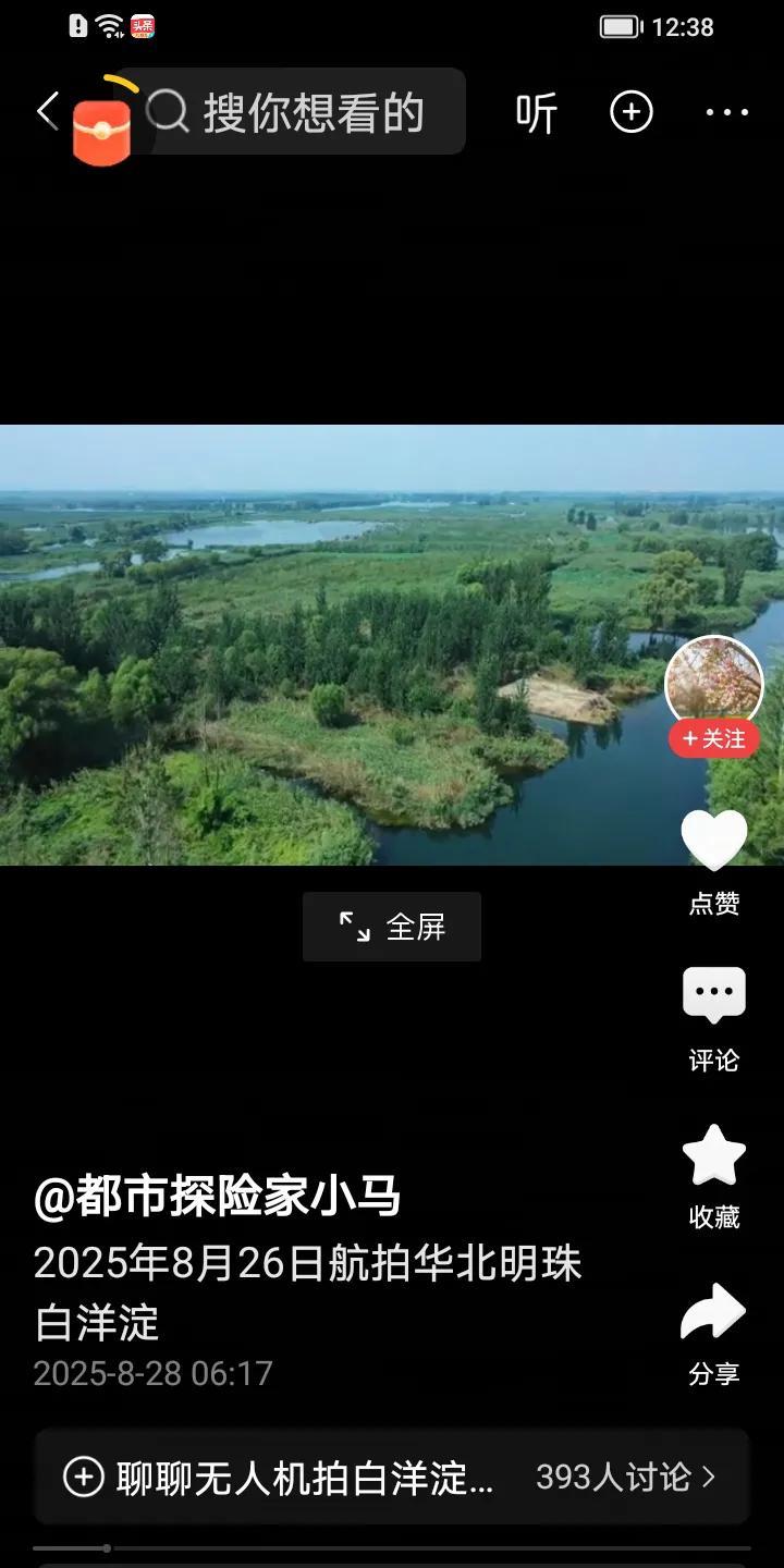 航拍之下的白洋淀略显冷清。这本该是旅游旺季，然而当下，因种种事件，白洋淀在这旅游