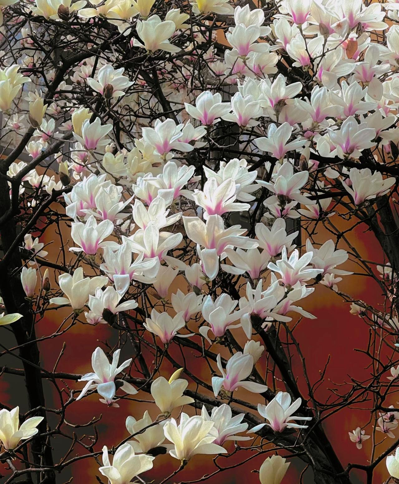 男人脱单，格局打开量变产生质变。强者只做筛选不做选择。女人长得漂亮的做情人，赏心