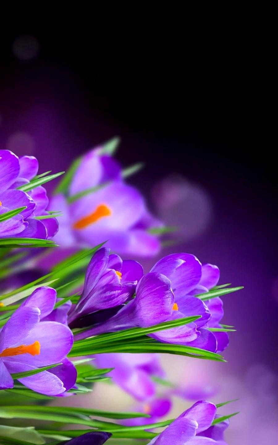 活了三十年，我才发现脑子里那个天天跟我说话的“我”，根本就不是我。你敢信？那