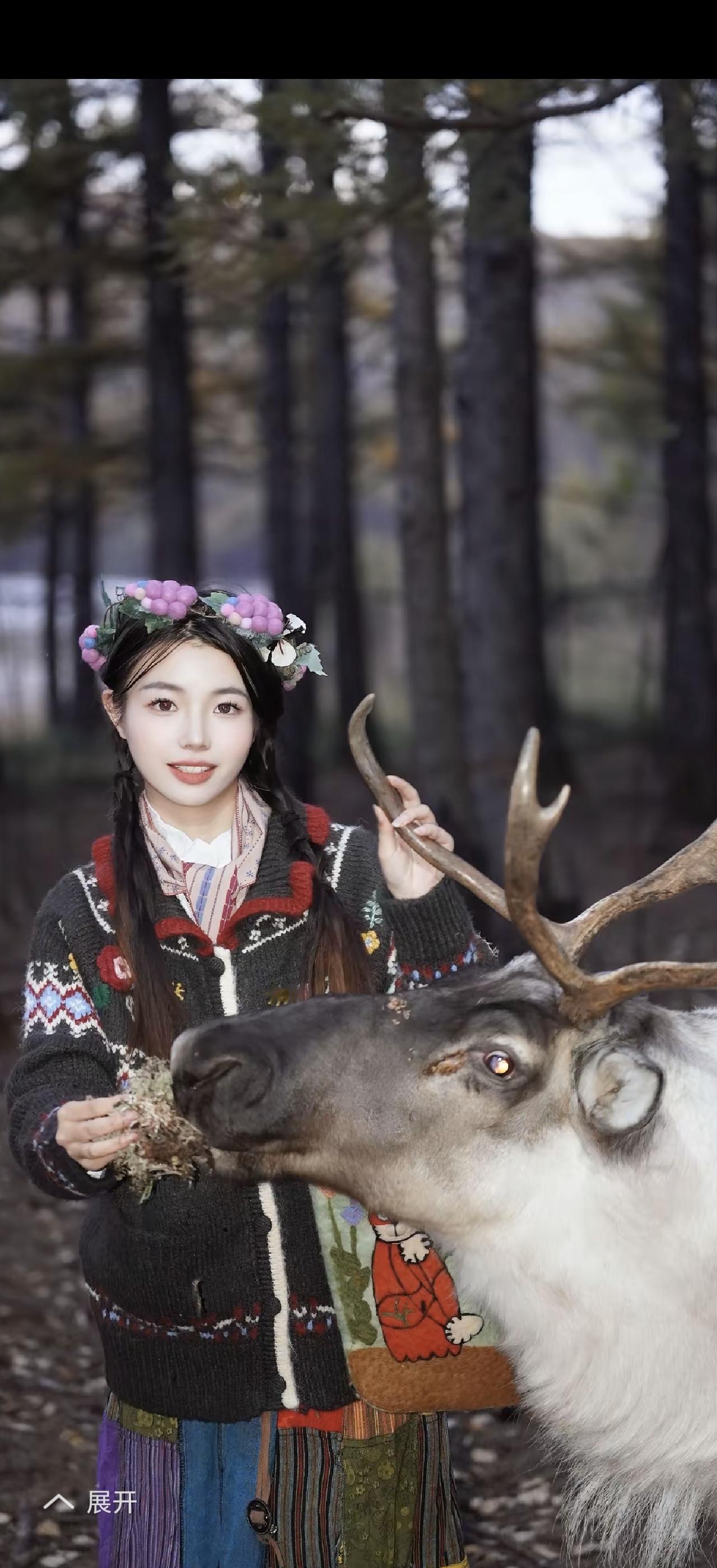 在森林中与麋鹿亲密互动，感受大自然的美好与宁静。