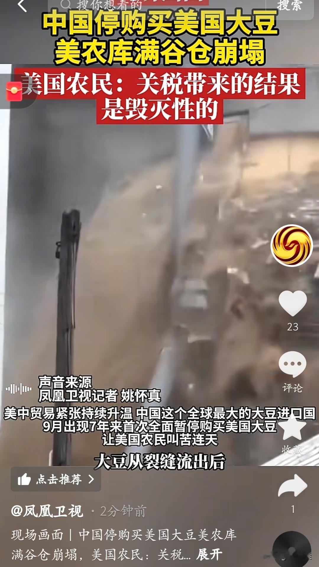 中国一停买美国大豆，老美农民的粮仓直接崩了！你看这视频，大豆跟瀑布似的从裂