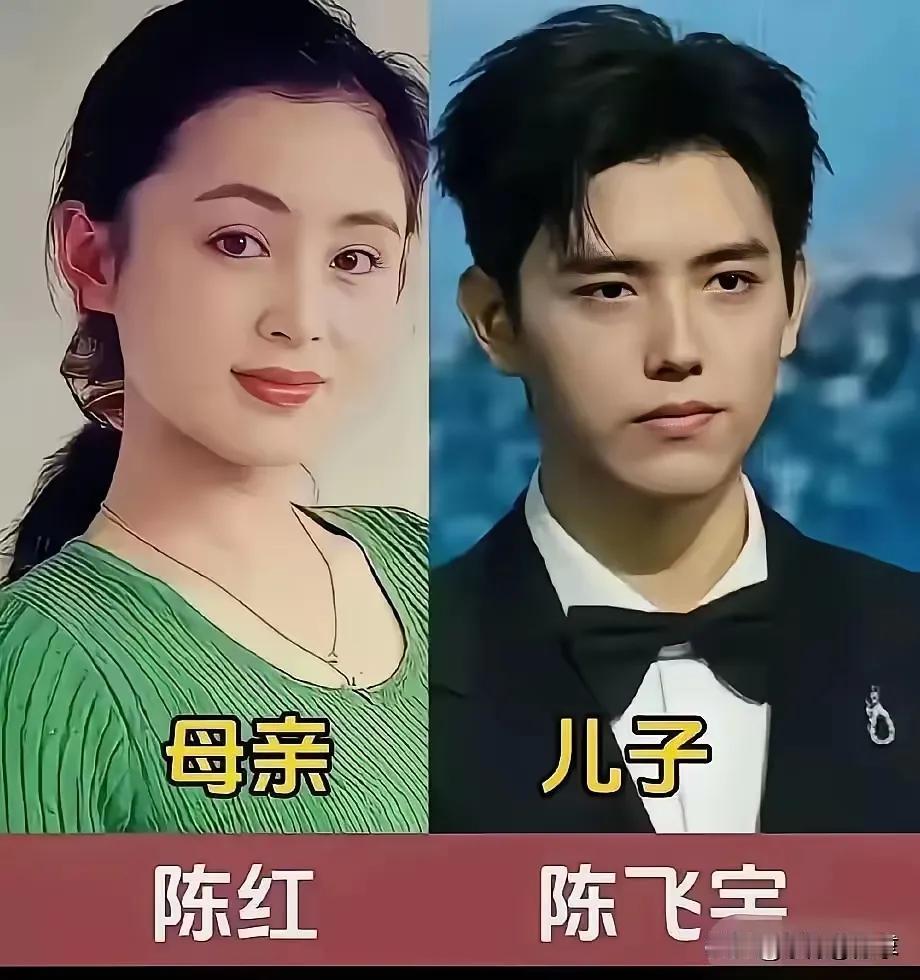 洪欣的儿子很帅气。何赛飞的儿子很帅气。陈红的儿子很帅气。孙俪的儿子很帅气。