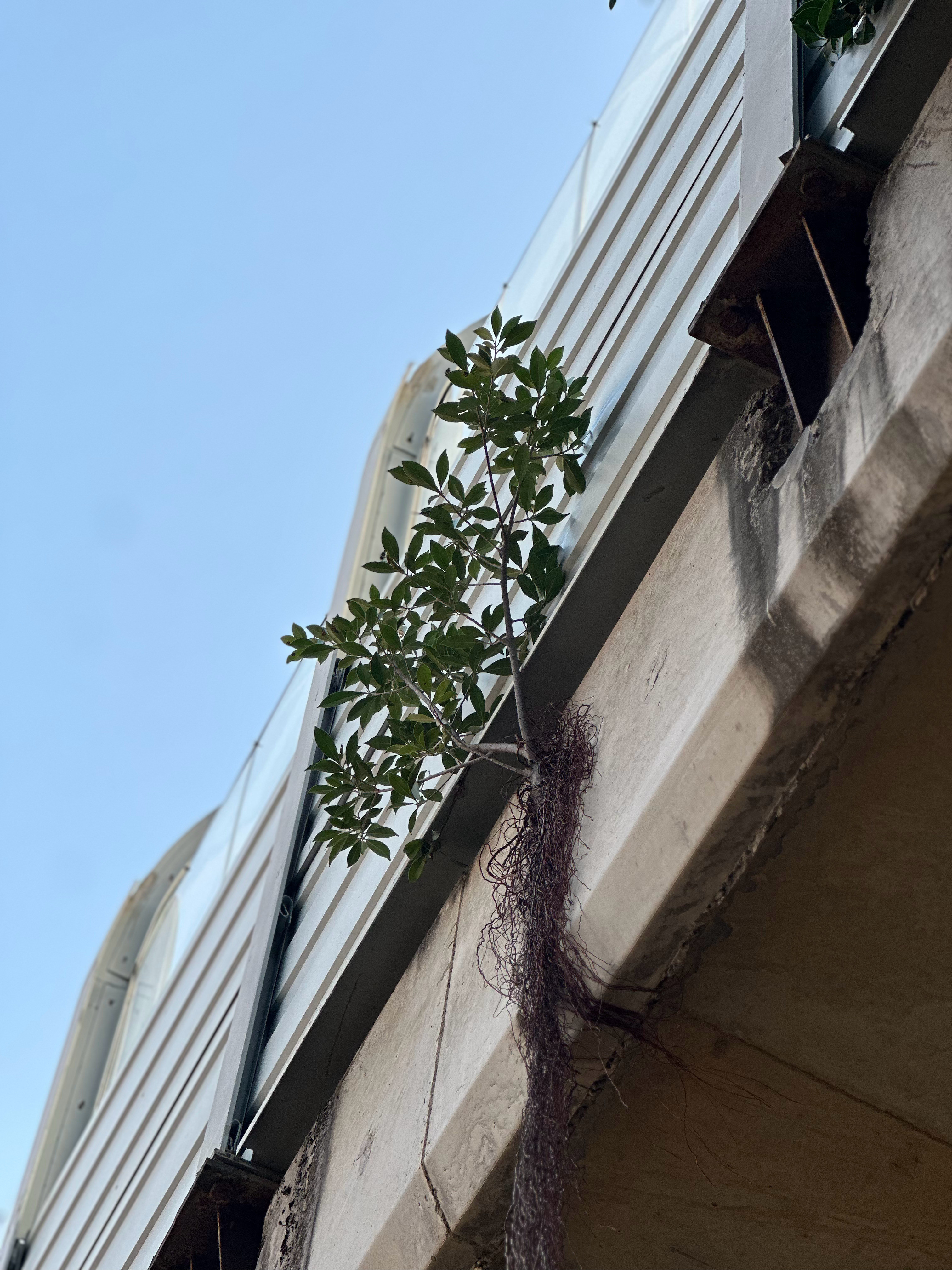 周末遛娃日常，徒步登山…