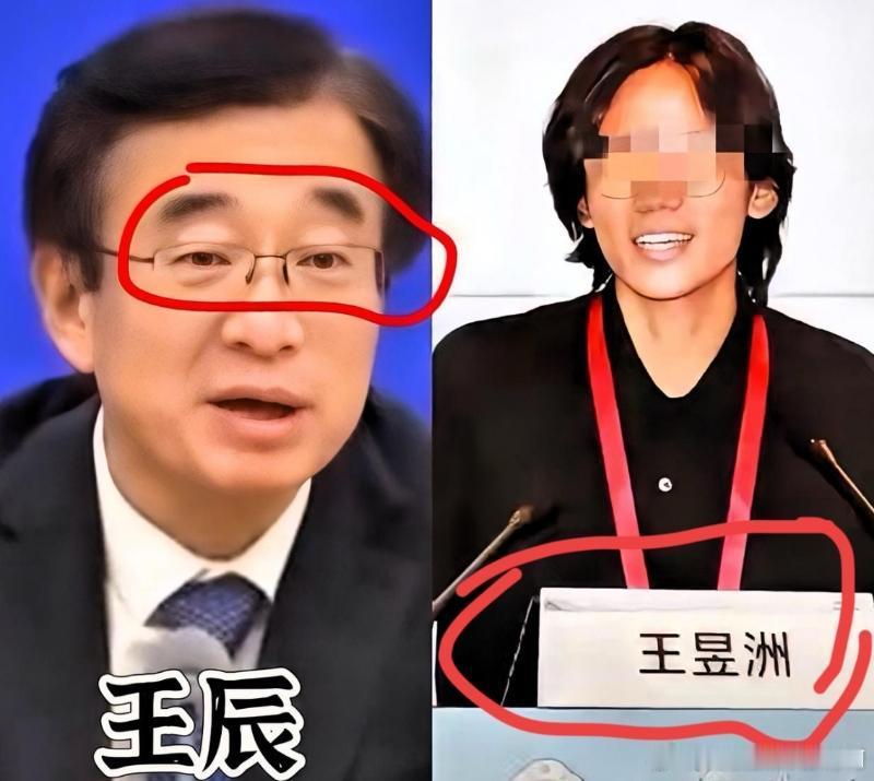 王昱洲这瓜越扒越让人上头！作为王辰院士独子，却顶着争议光环在北大哲学系当助理教授