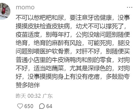 大家觉得养狗的大忌是什么？2