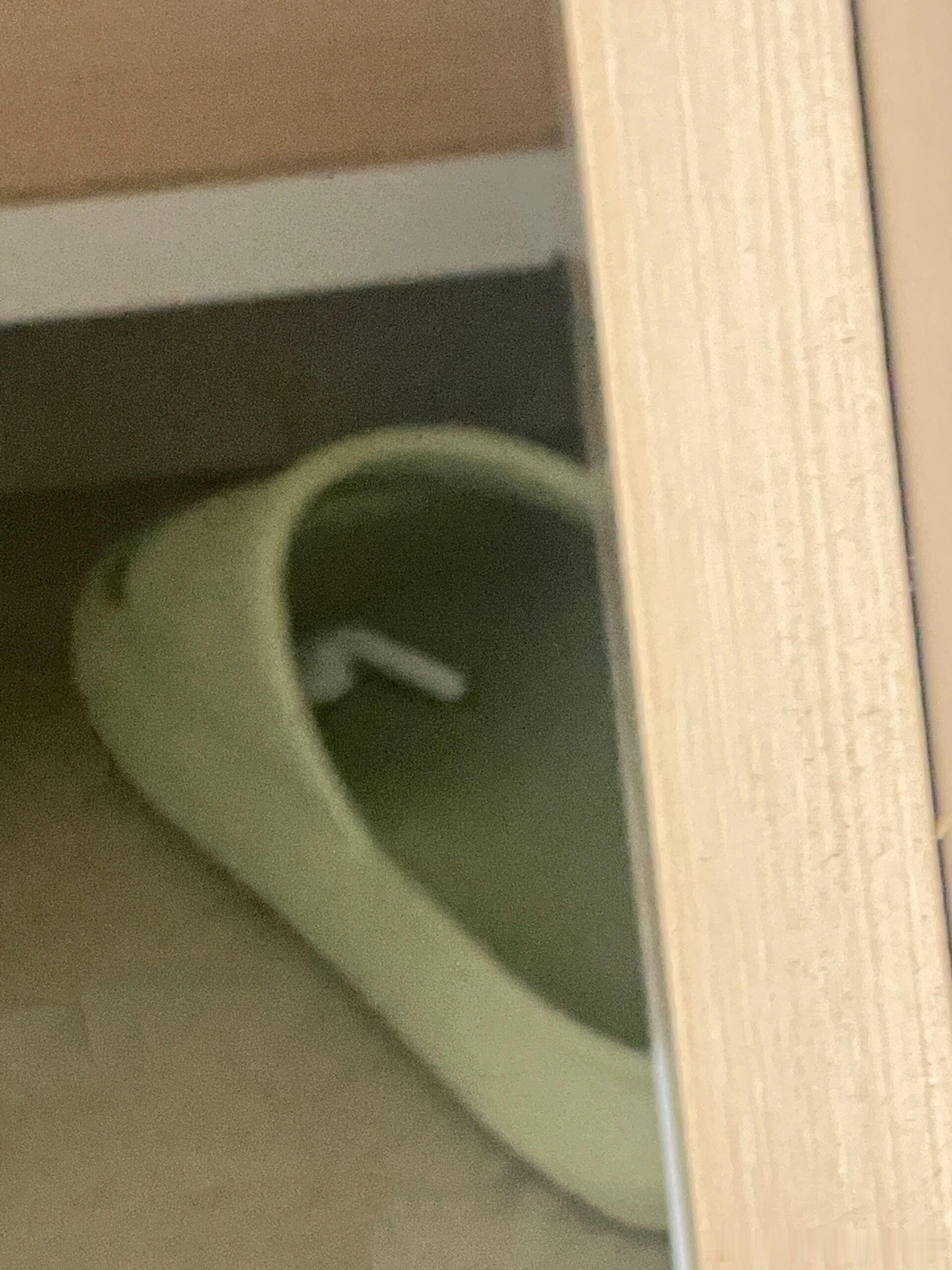 啊哈哈被室友逗笑啦～🫰🏻不知道的还以为耳机宝宝长腿咯[捂脸哭]​​​