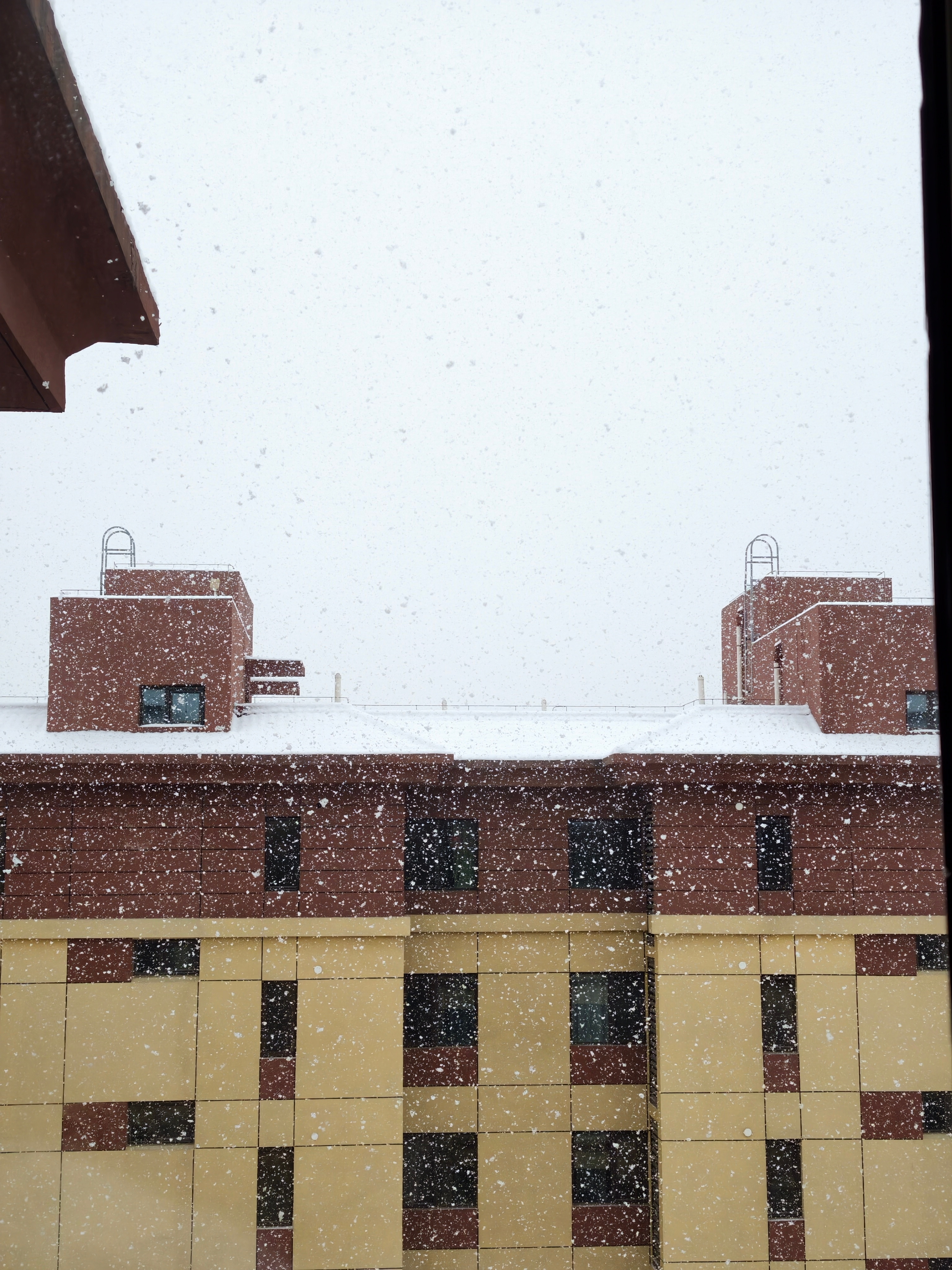 北京下雪鹅毛大雪，好久没见北京下这么大的雪了，太震撼了。在家赏雪刚刚好，大家出门