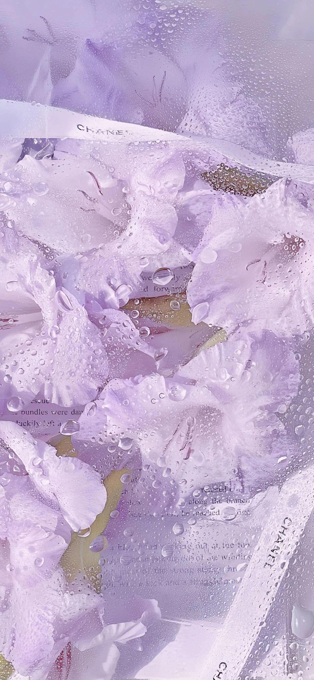 紫色💜依赖||壁纸无水印｜神仙壁纸｜意境壁纸｜氛围感壁纸｜清新壁纸｜壁纸分享