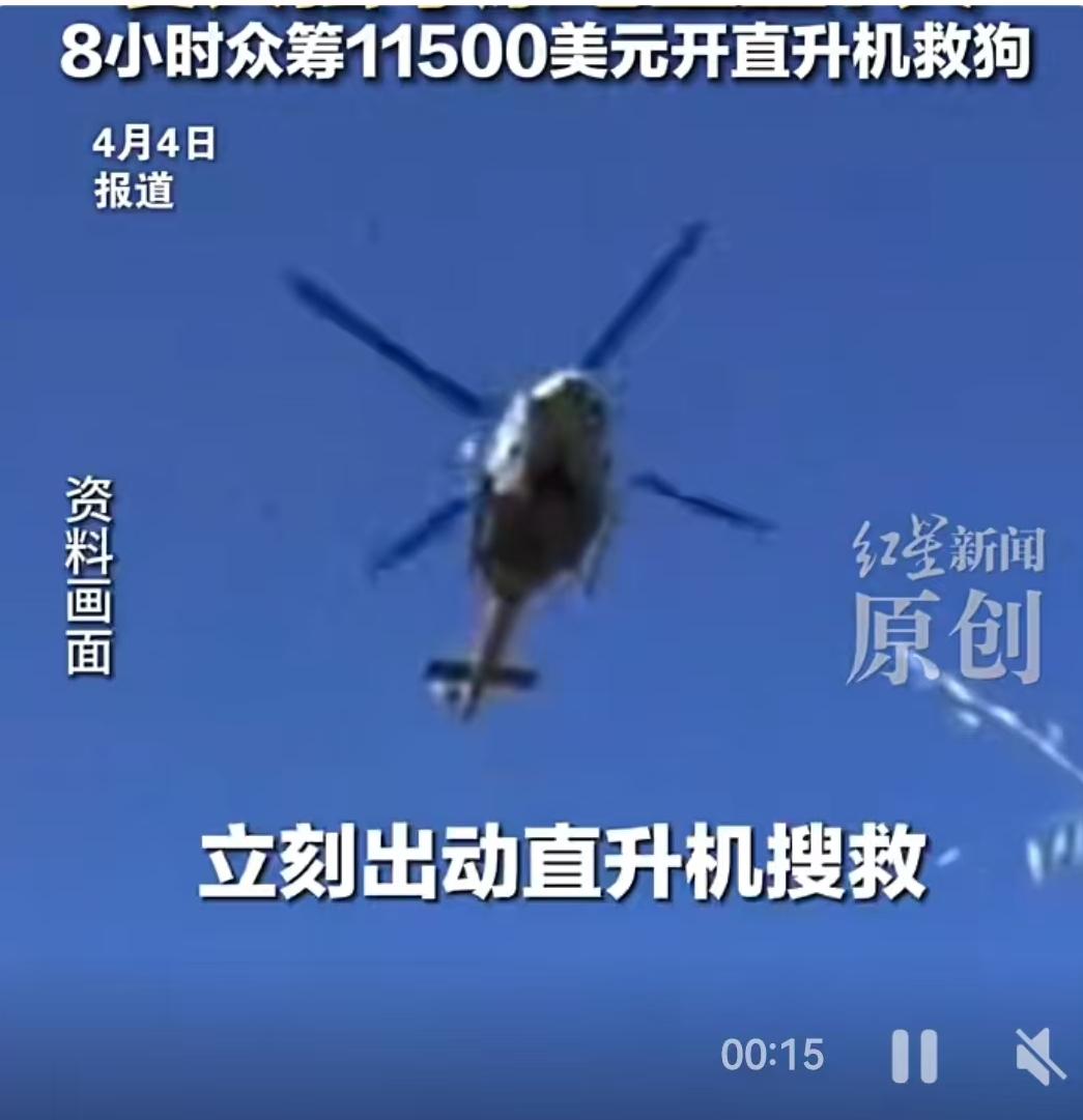 55米，相当于十几层楼高的悬崖。当地时间3月24日，新西兰南岛发生了一起意外，女