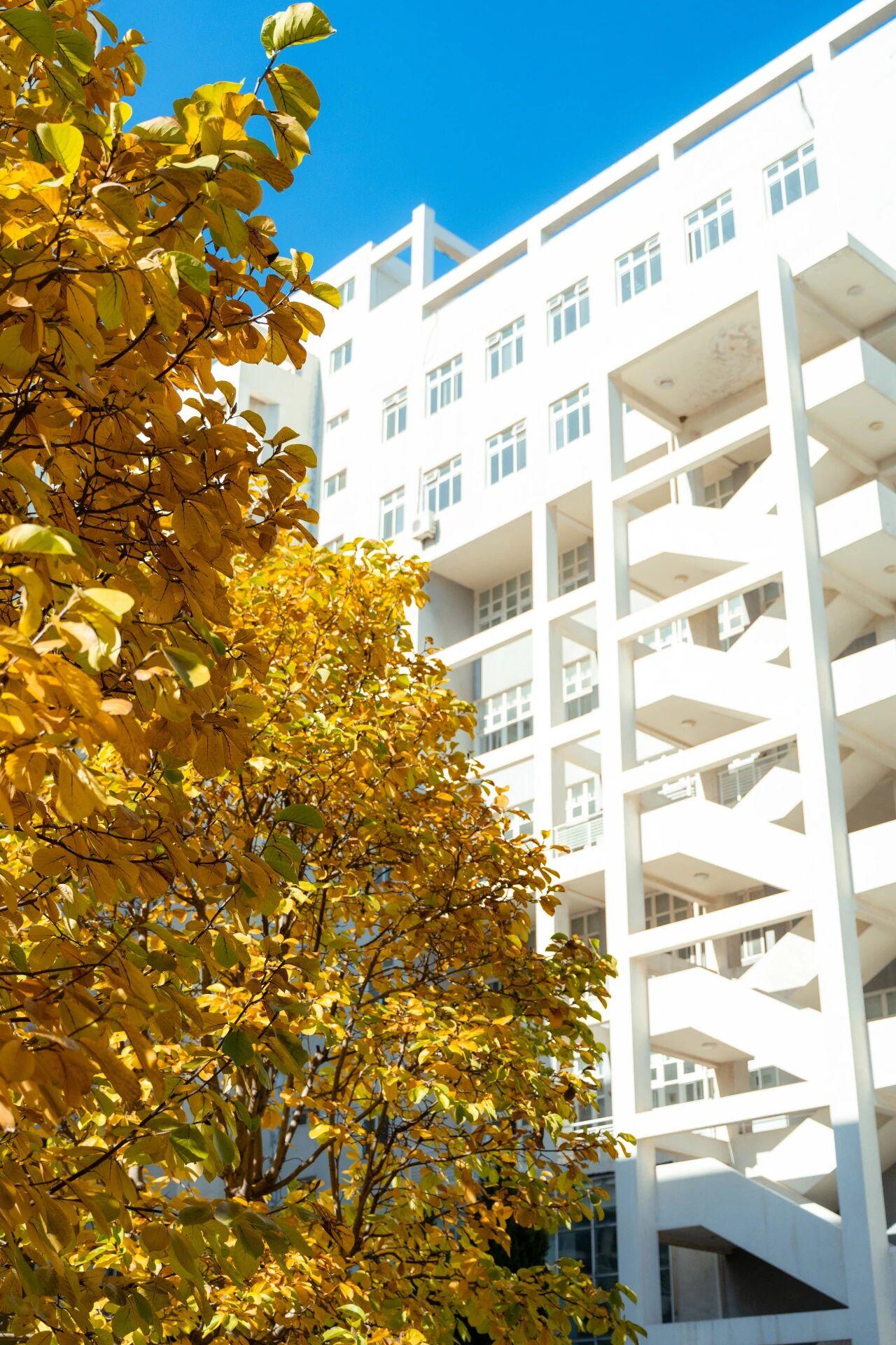 昨晚九点过女儿发微信说室友发高烧了，她要陪她去医院看急诊，这个天晚上出门冷得很，