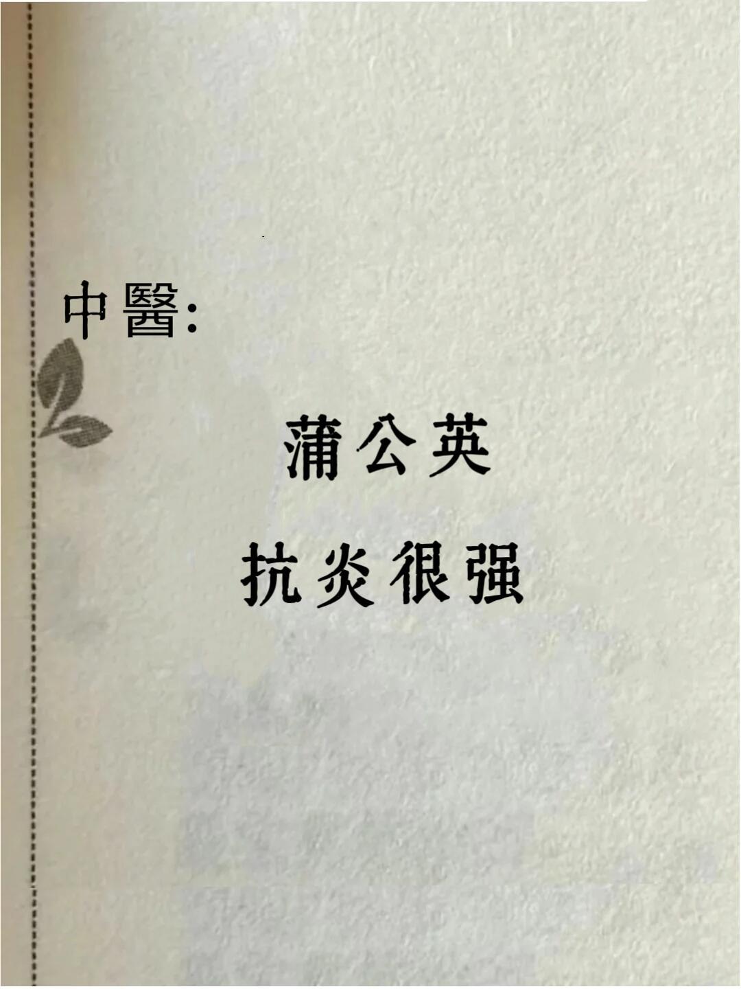 私藏！一杯蒲公英水，抗炎很强​​​