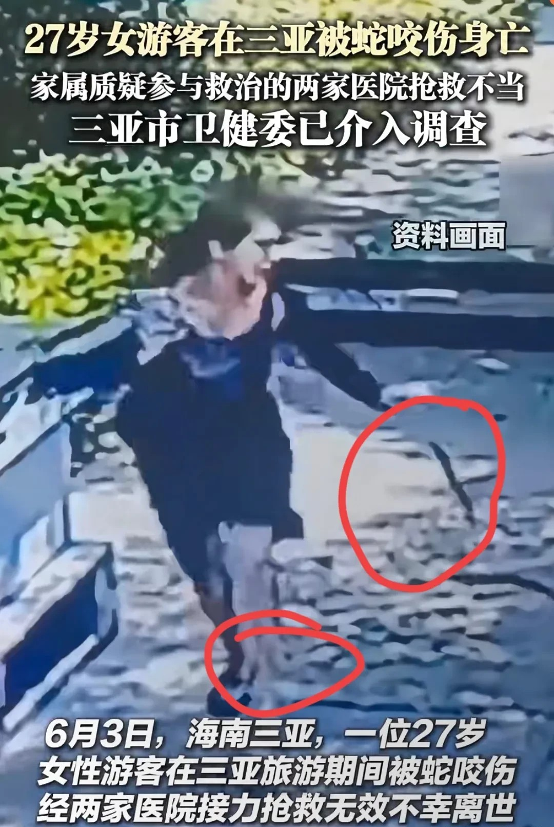 被蛇咬伤死亡女子的弟弟发话了他告诉记者，姐姐是在有路灯、有花坛的地方被毒蛇咬