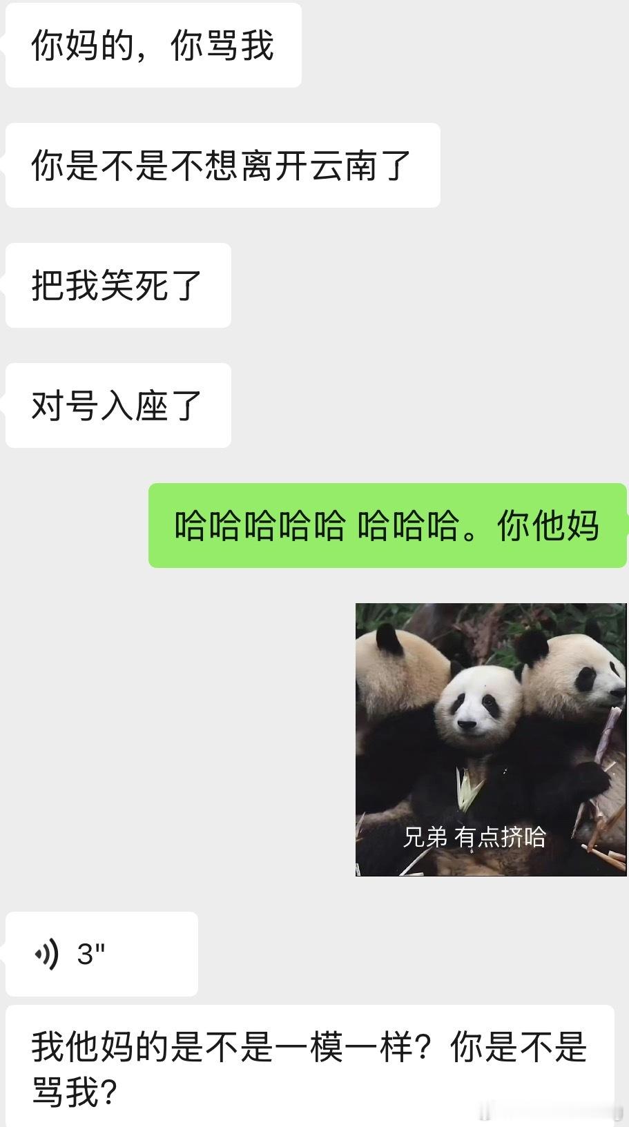 可恶有人“威胁我”云南人这么凶吗！那我必须给面子[doge]汪汪队们你们别急L