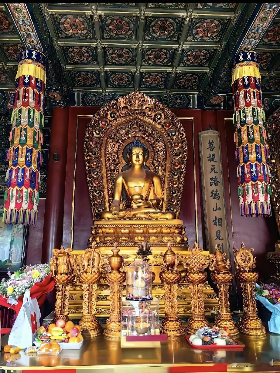 雍和宫最护佑安康的药师佛，很多人来拜都拜错重点在北京雍和宫永佑殿，这尊鎏金