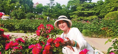 月季花开 情动天津