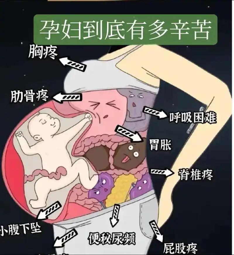 -孕早期（1-3个月）：胎儿小且有盆腔、子宫肌层保护，短暂、缓慢蹲下（如系鞋带