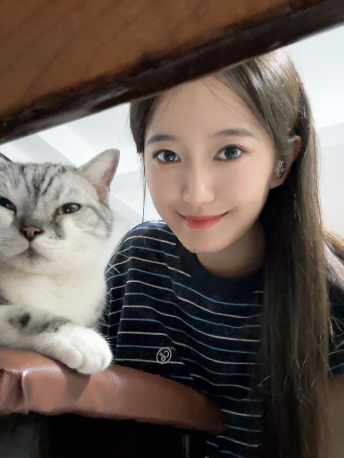 🐱猫猫琪天大圣​​​