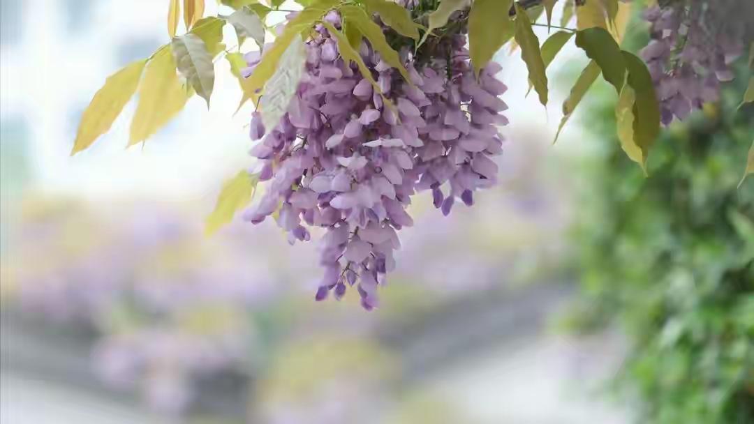 我已经40岁的人了，上有老，下有小，父母身体不好，长期吃药，也只有一点社保收入，