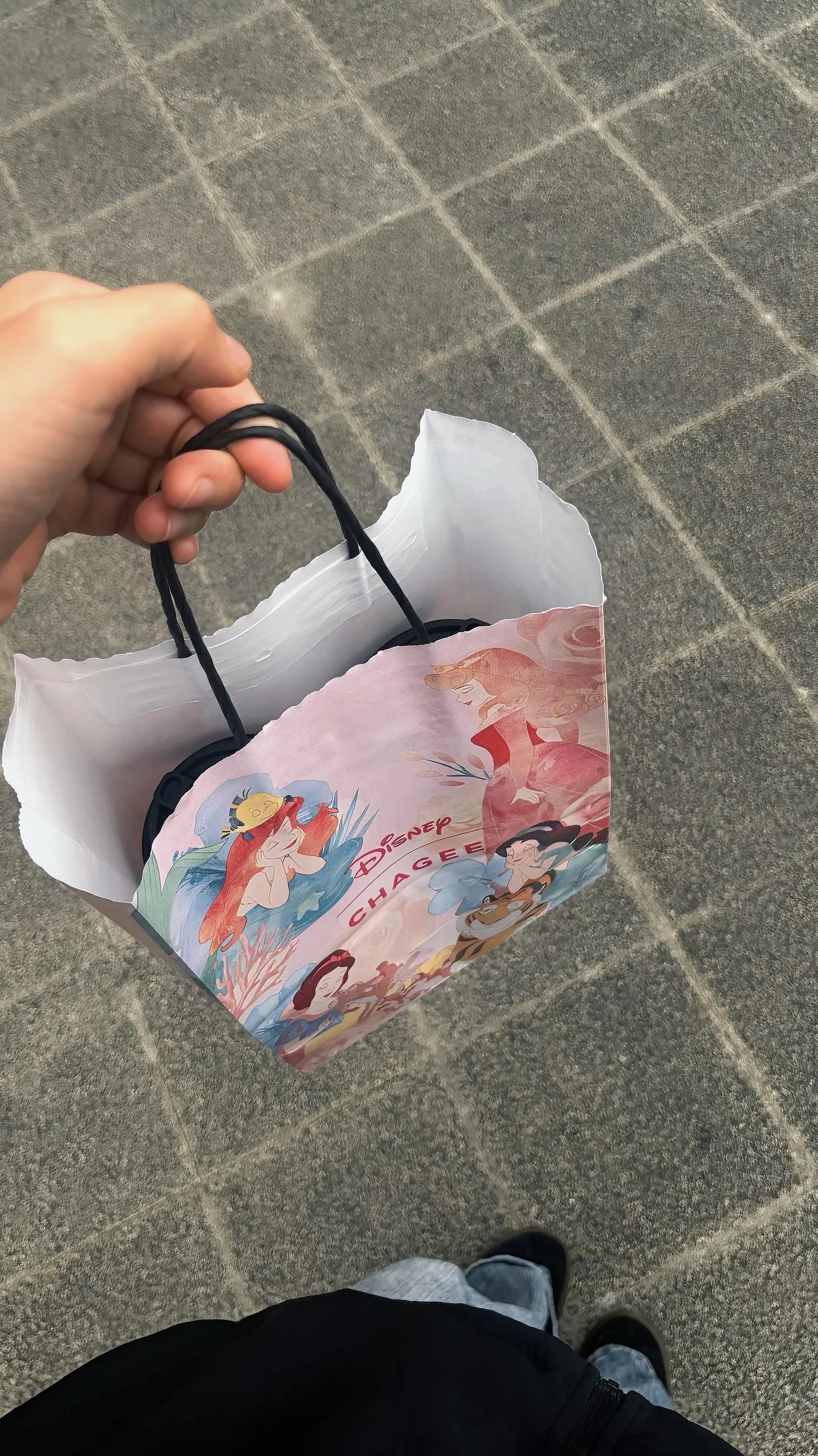和公主一起 推开世界的门
