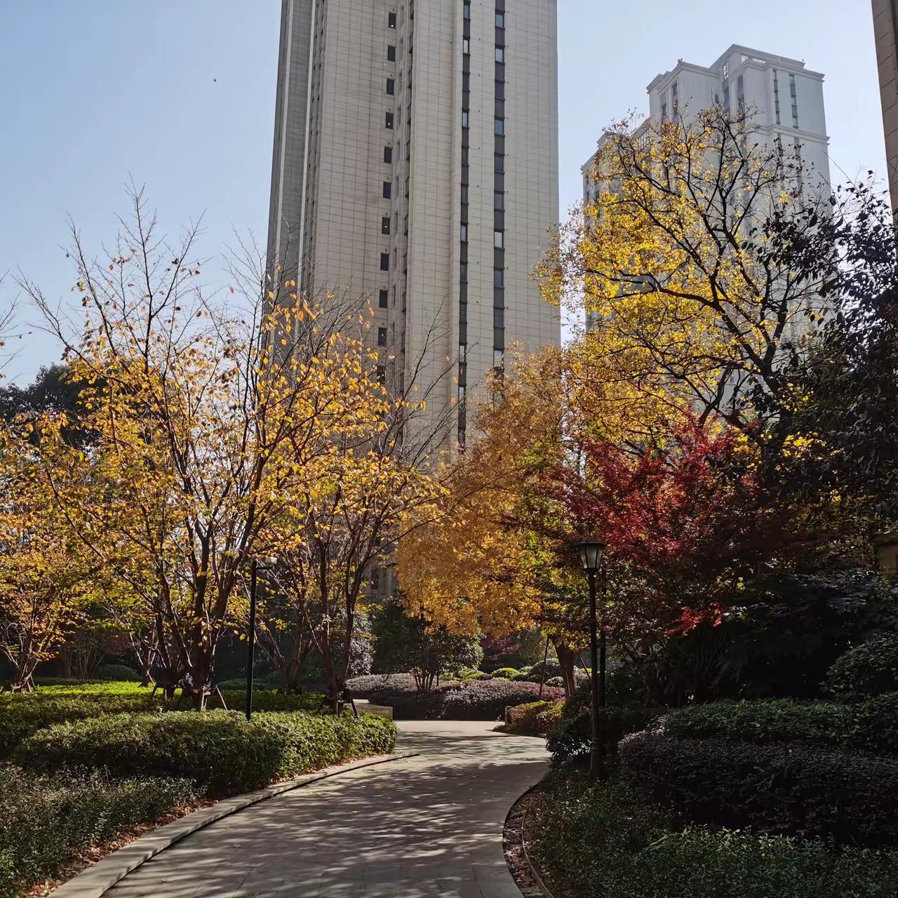 今日运势：丙午年辛卯月戊戌日2026.3.25日鼠：别因小事忧虑牛：易