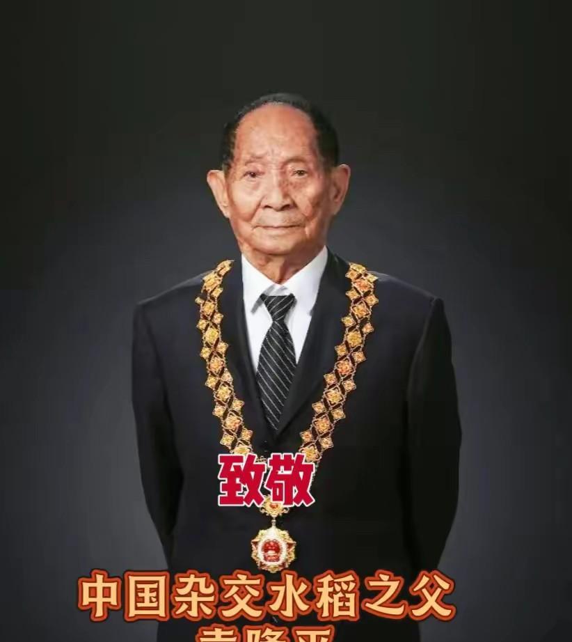 80年代，年，袁隆平被称为“杂交水稻之父”。