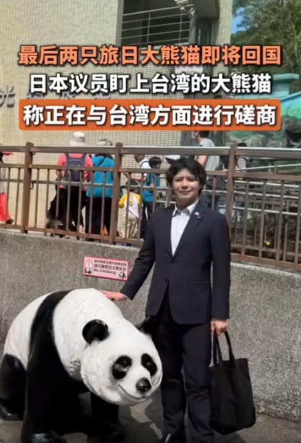 日本简直痴心妄想！最后两只旅日大熊猫即将回国，日本官员不死心，居然盯上了当初大陆