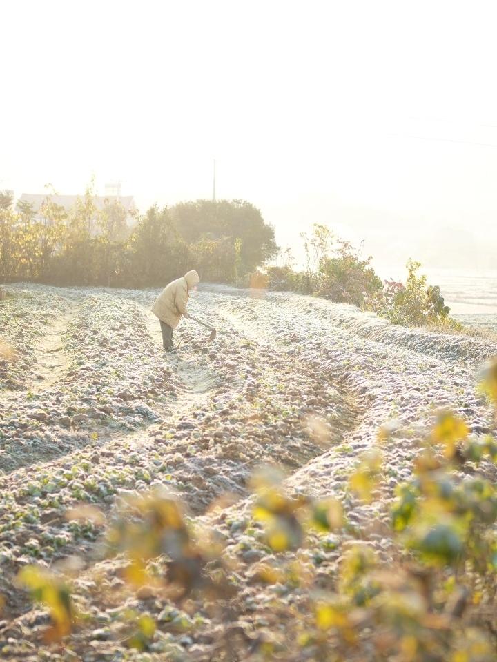 紧急提醒！一年最冷的20天来了！三九四九冻哭预警，保暖攻略快存好按“数