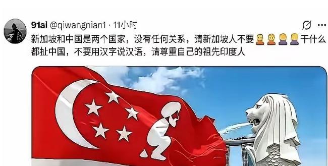 这两天，外网被一句极度刺耳的反讽刷爆了：“请新加坡尊重自己的祖先印度人，别干什么