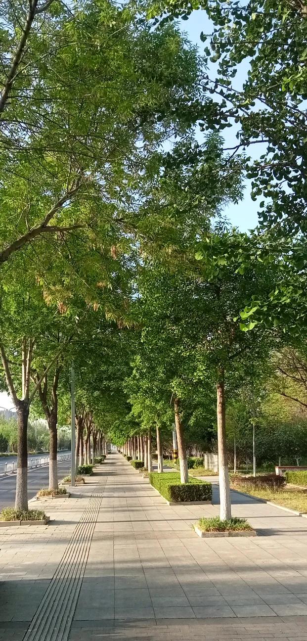 一张图证明秋天来了春秋的两幅同一地方的图片。