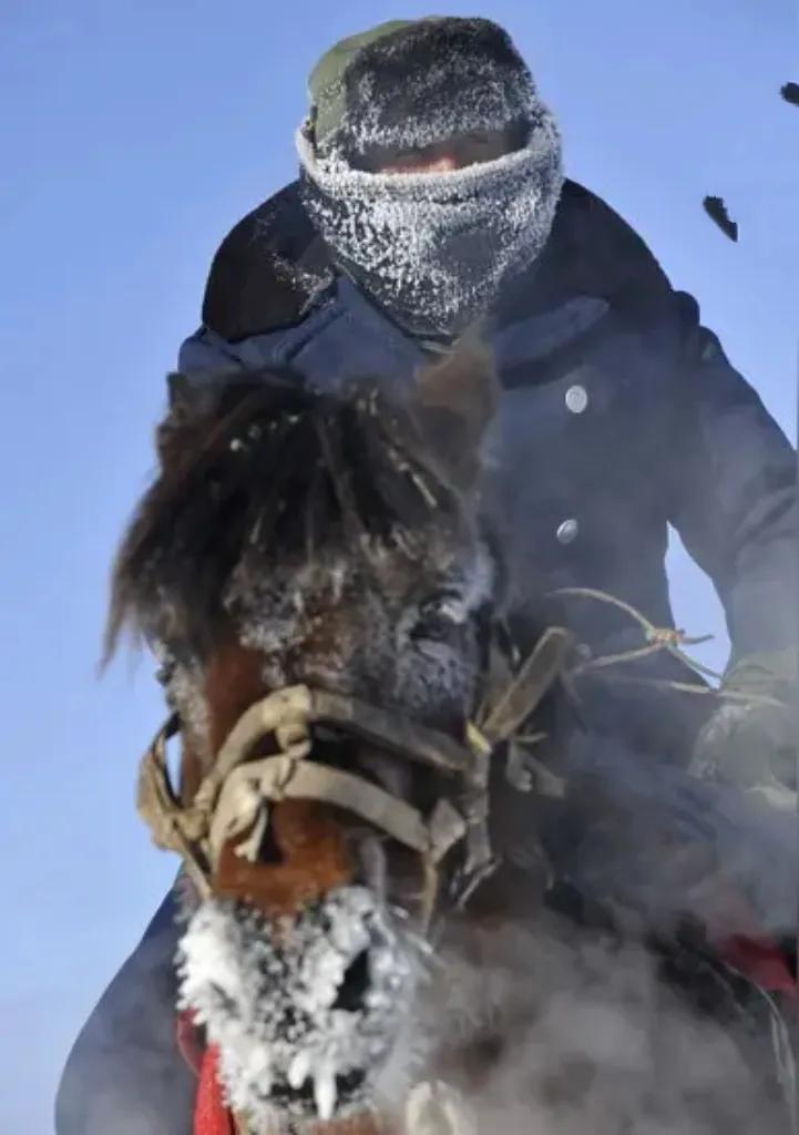 阿勒泰暴雪致游客被困超10小时，多部门紧急救援后全员安全脱困2025年10
